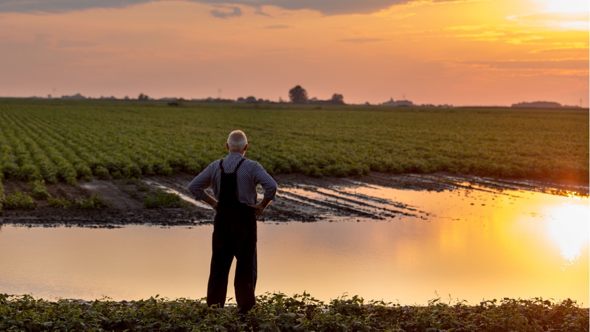 Climate change and food safety